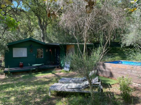 Chalet avec piscine privée dans la forêt